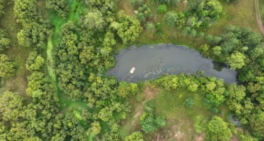 Пропавшего в Слободском районе мужчину нашли в водоеме за рулем автомобиля