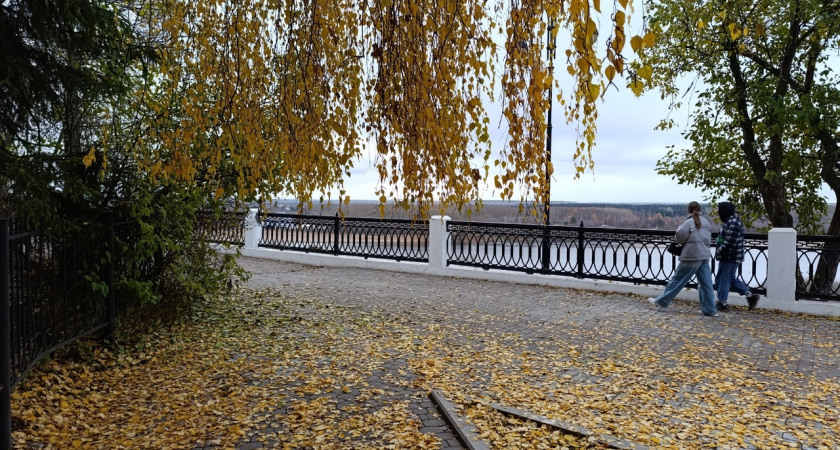 Нас ждет сентябрь без "бабьего лета"  - синоптики составили прогноз до зимы 2025 года