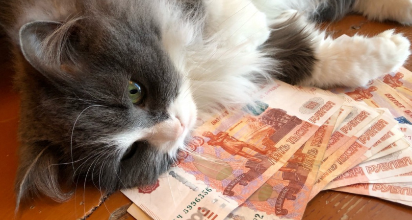 3 приметы о деньгах, в которые верили наши бабушки - даже сейчас они работают 