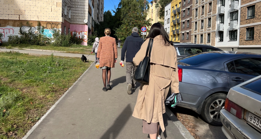 Бабье лето возвращается: какая будет погода в сентябре в Кировской области? 