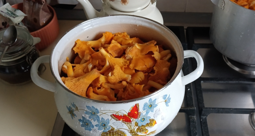 Сделал на пробу - всем понравилось. А я и обрадовался. И еще 5 банок грибов в маринаде закрыл на зиму