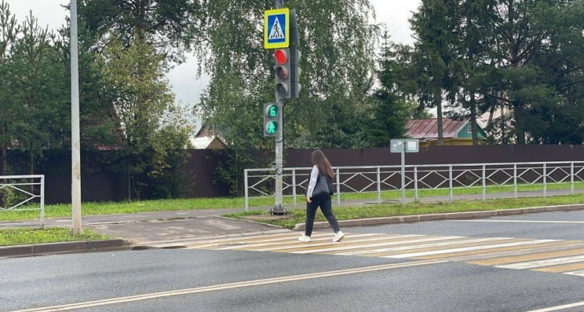 На 154 переходах у образовательных учреждений Кирова нанесли долговечную разметку