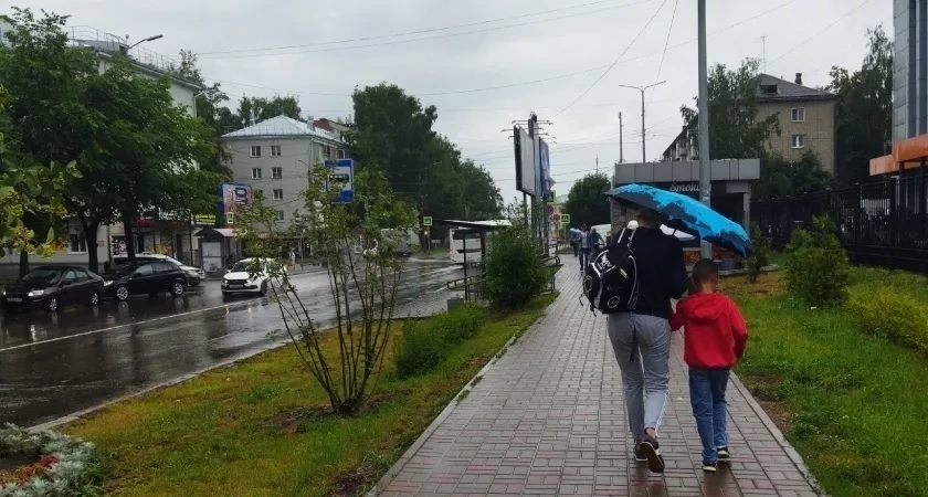В Кирове ожидаются кратковременные дожди и прохладная температура