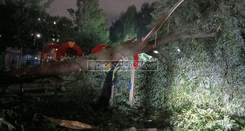 Во дворе на улице Волкова два огромных тополя рухнули на детскую площадку 