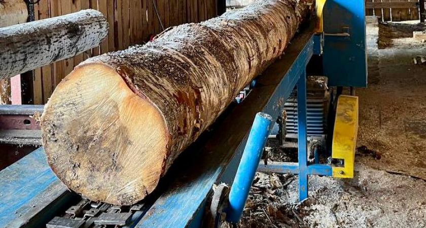 В Лебяжском районе рабочий травмирован на деревообрабатывающем производстве