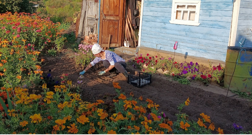 В 65 лет продал жилье в городе и переехал в деревню - что из этого вышло