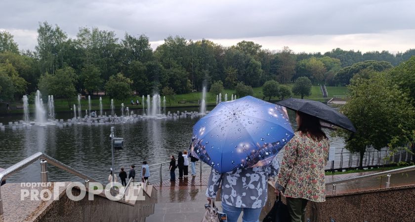 Закрытие кладбища, отравление в оздоровительном центре и увольнение директора школы: что читали кировчане на минувшей неделе