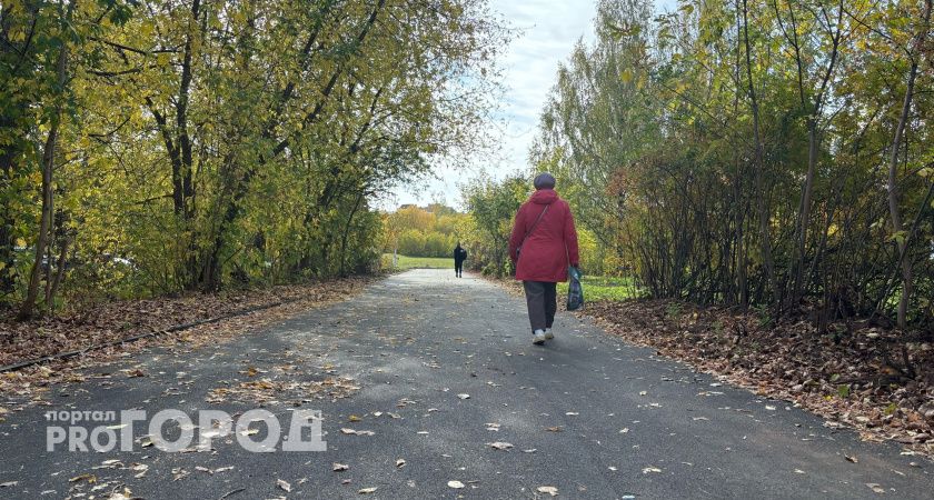  72-летняя жительница Кирова перевела мошенникам более 1 миллиона рублей