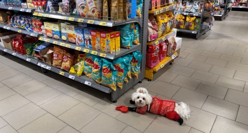 Сотрудница супермаркета шепнула, какие 5 продуктов они сами никогда не покупают - обходят за километр и нам советуют