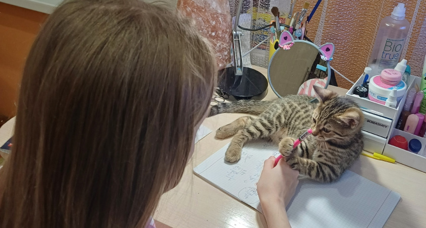 Странные имена детей звезд российского шоу-бизнеса: вместе с фамилией звучат комично