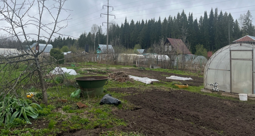 200 гр. на грядку — и почва в 2 раза воздушнее — работает лучше сидератов и навоза