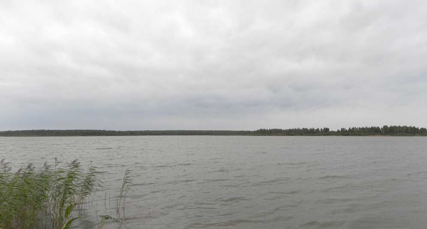 Под Кировом сточные воды загрязнили водоемы в охраняемой зоне "Прудовые озера"