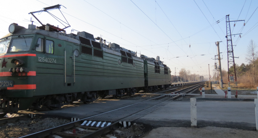 В Лузском районе поезд сбил грибника, присевшего отдохнуть на рельсы