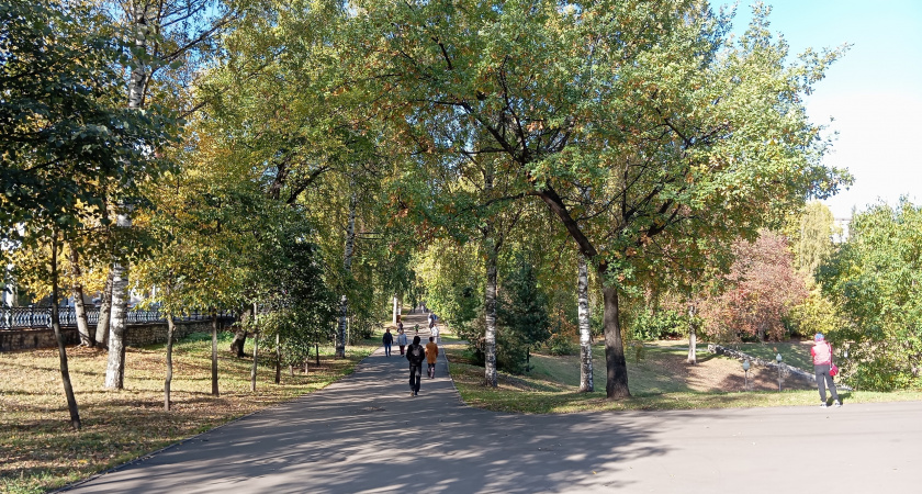 Стало известно, какой будет погода до середины сентября в Кировской области
