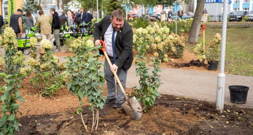 Более 1200 растений украсили сквер у площади Лепсе в Кирове