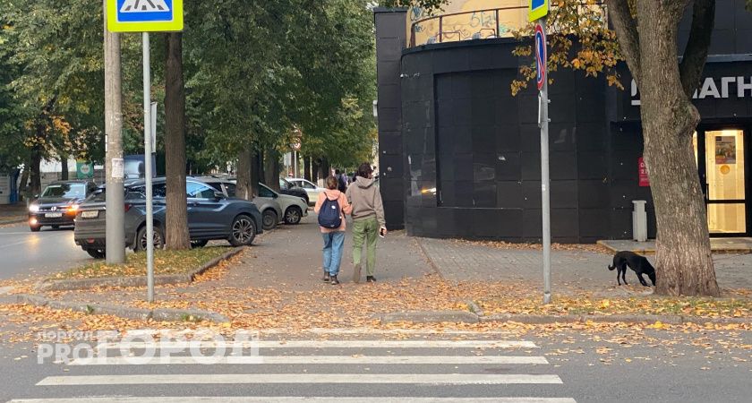 Приход бабьего лета, жесткое ДТП под Кировом и День знаний: что читали на минувшей неделе