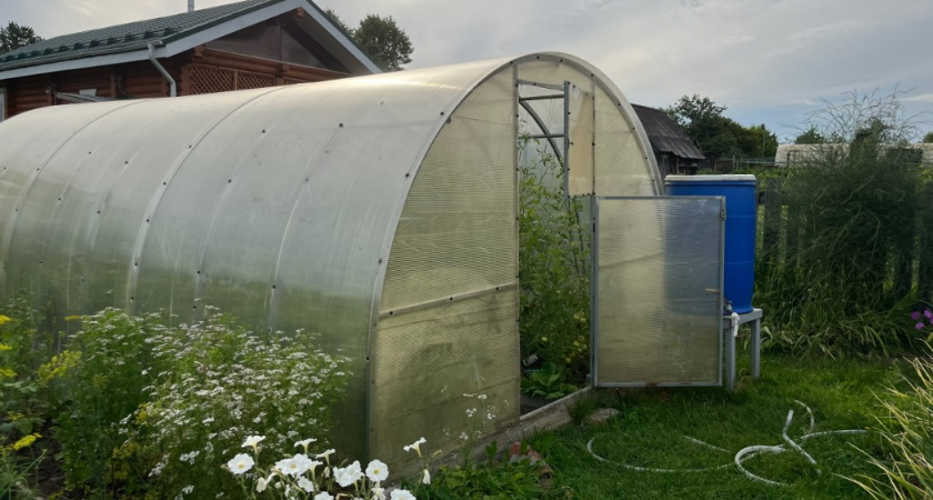 Даже перекапывать не придется: 3 ложки "муки" на землю - и она как пух без всякого навоза