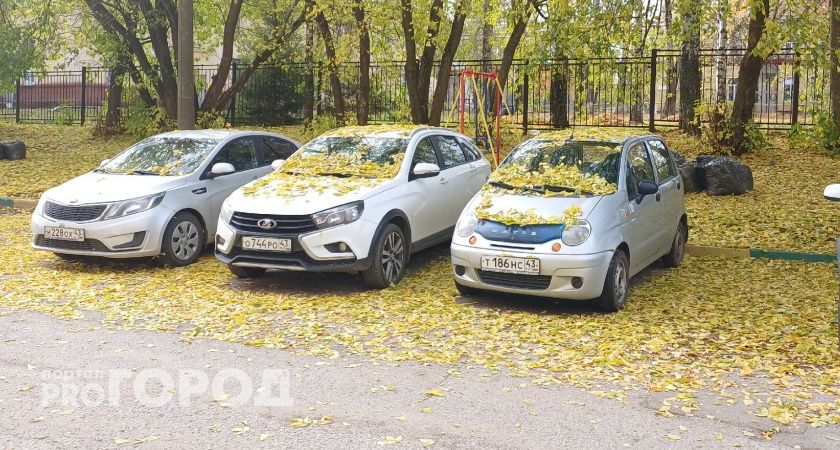 Больше полумиллиона рублей отдал житель Котельнича за "талон для парковки"