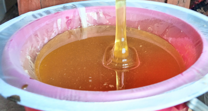 Проверила дома липовый мед методом из Абхазии - делюсь результатом