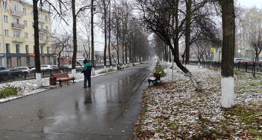 Зима будет аномальной: синоптики рассказали, к чему готовиться - прогноз по регионам