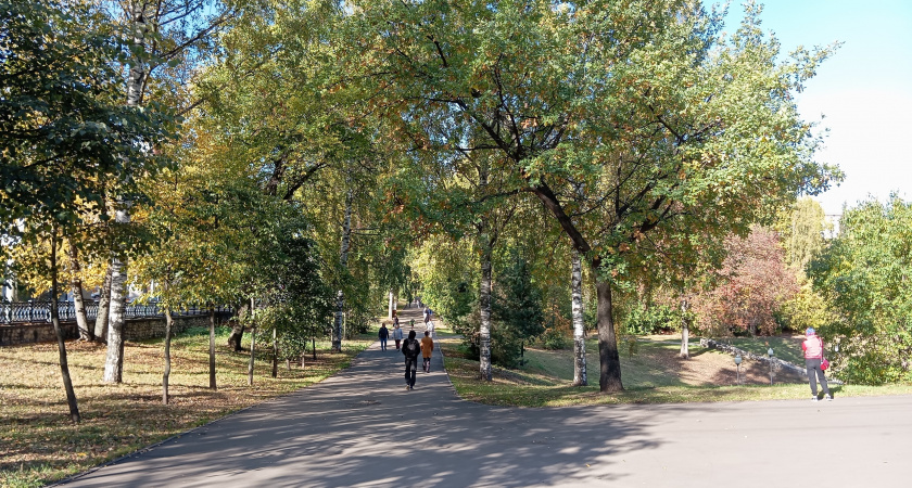 В Кирове прогнозируется похолодание