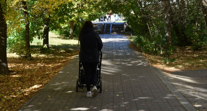 Мать из Афанасьевского района поймали на мошенничестве с госвыплатами 