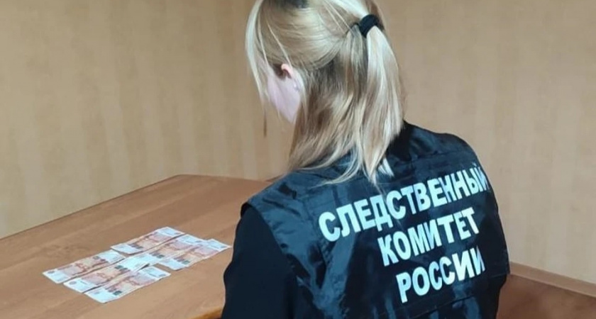 В Яранске начальнице ветстанции вынесли приговор за хищение и служебные подлоги