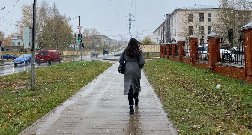 Первые в сезоне заморозки ударят по Кировской области с 12 по 15 сентября