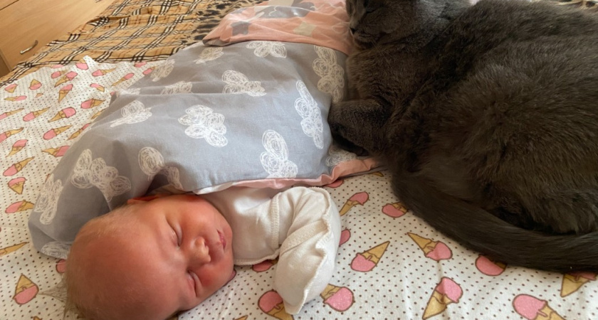 Не Люцифер и не Икея: какие имена запрещено давать детям в России