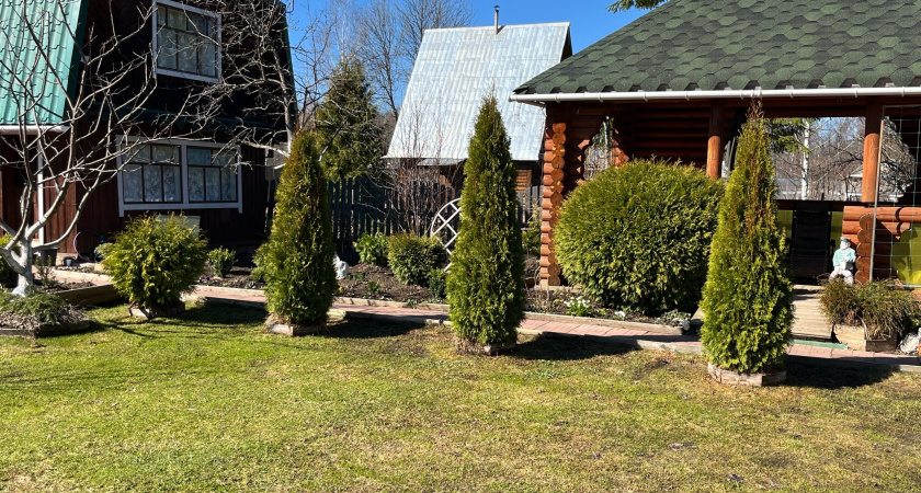 Теперь никогда не мучаюсь и не откачиваю сливную яму - узнал отличное решение проблемы