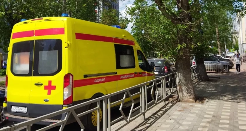 В Кировской области завели уголовное дело о травме рабочего на лесозаготовках