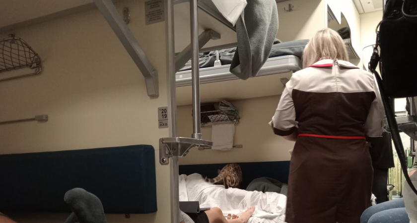 Самые грязные уголки поезда: какие места лучше обходить стороной