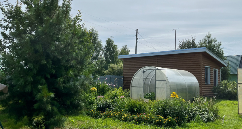 Мечтали о почве как после навоза, в итоге остались без урожая - сидерат только навредил. Вот что сеем вместо горчицы и радуемся