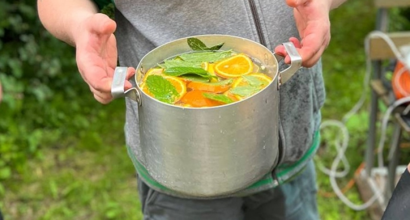 На зиму всегда делаю простой освежающий напиток - домашний "Мохито". Получается недорого и очень вкусно