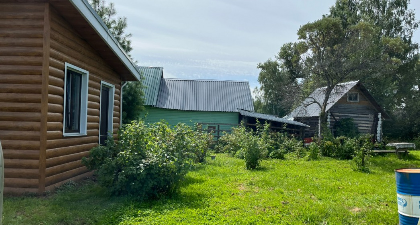 На какую высоту необходимо белить стволы деревьев осенью – агрономы поставили жирную точку в давнем споре
