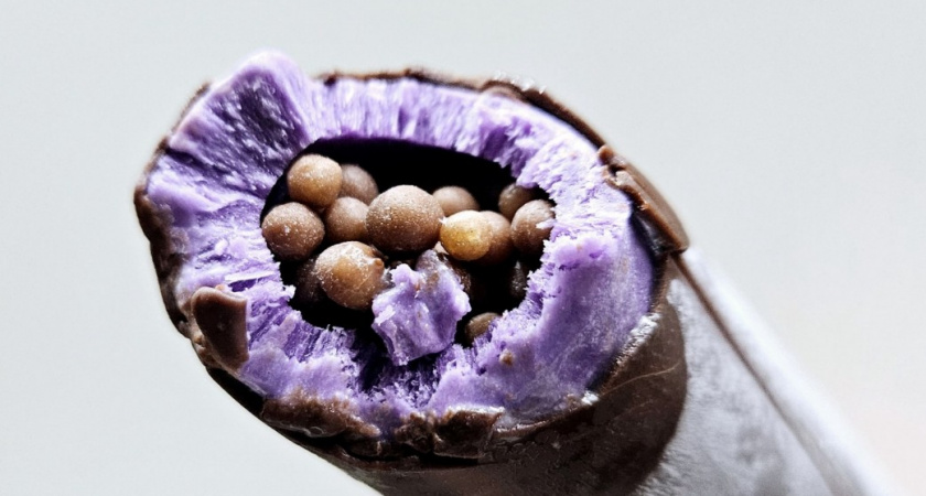 Не удержалась и заказала в "Самокате" мороженое "Ла-ла бу-бу" - такую гадость еще не ела: вот что нам продают за 140 рублей