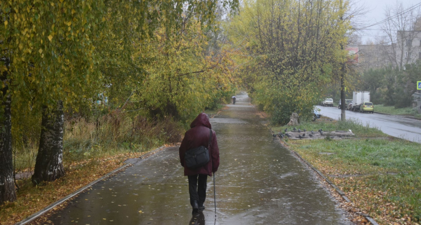 1 фраза, которую стоит сказать детям - и они всегда будут вас ценить: пронзительные слова