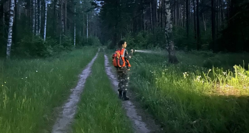 В Лебяжском районе почти месяц ищут мужчину с черным ведром