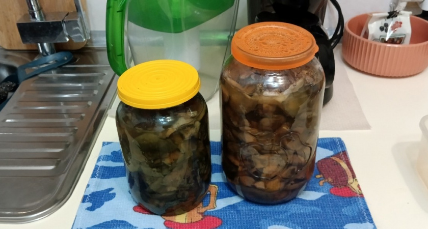 Почему соленые грибы портятся: главная ошибка, о которой не знают даже ушлые хозяйки