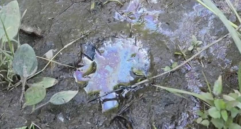 В реку Мостовицу в Кирове продолжают сливать нефтепродукты