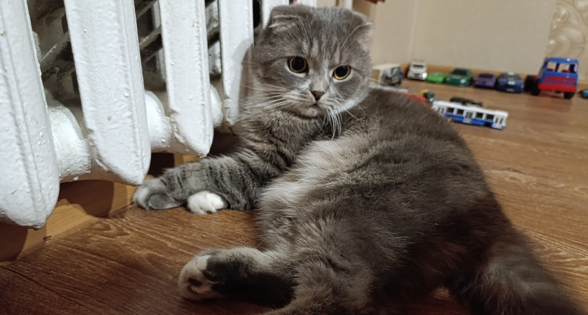 Власти Кирова пообещали подать отопление в квартиры в конце сентября