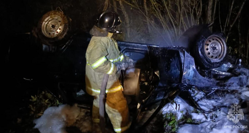 На трассе под Кировом "десятка" сбила лося, перевернулась и вспыхнула