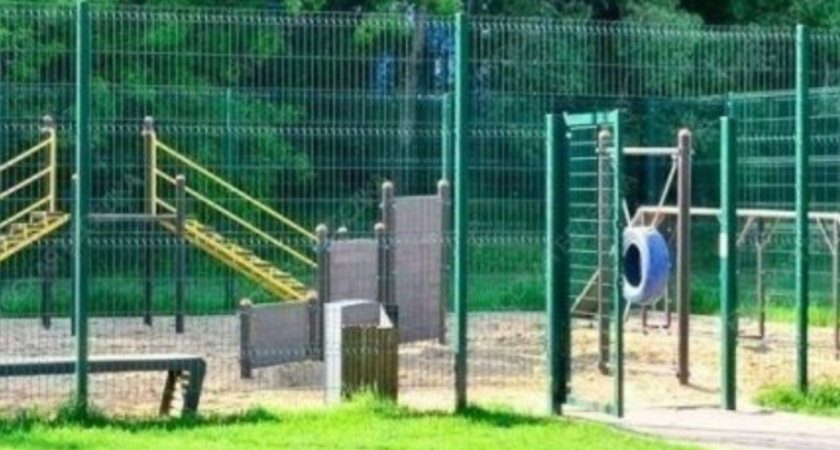 В Кирове создают новые площадки для выгула собак в трех районах