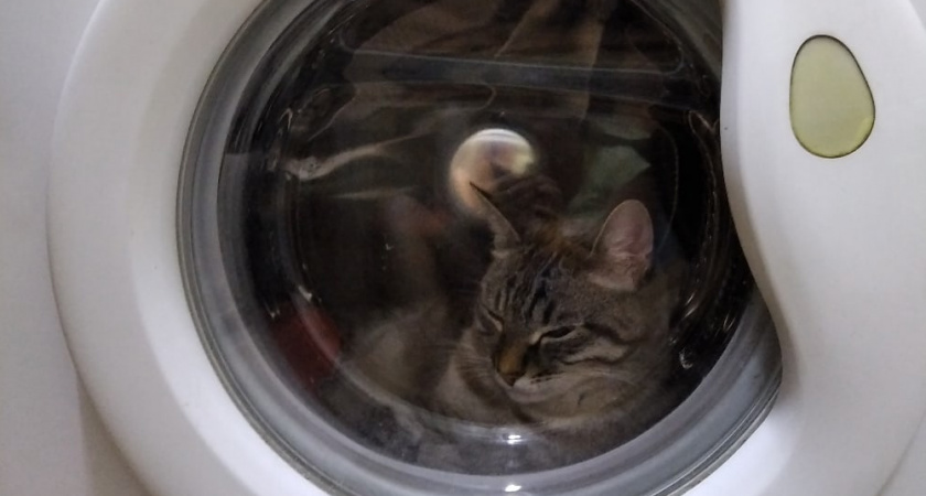 Зачем некоторые хозяйки выворачивают одежду наизнанку перед стиркой - так ли это нужно