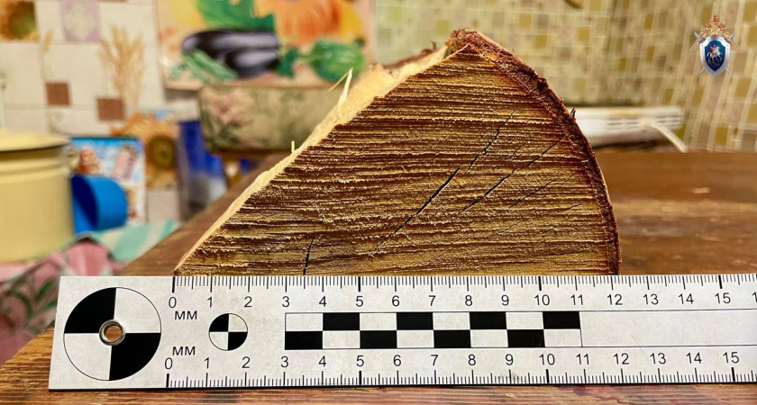 В Лузе нашли изувеченное тело мужчины: обвиняемый в расправе уехал из региона