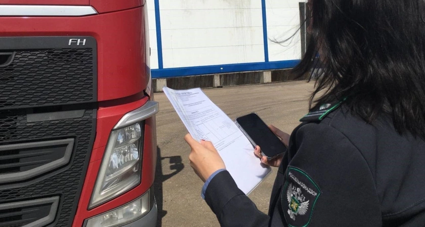 114 тонн куриных лапок отгрузили из Кировской области в Китай