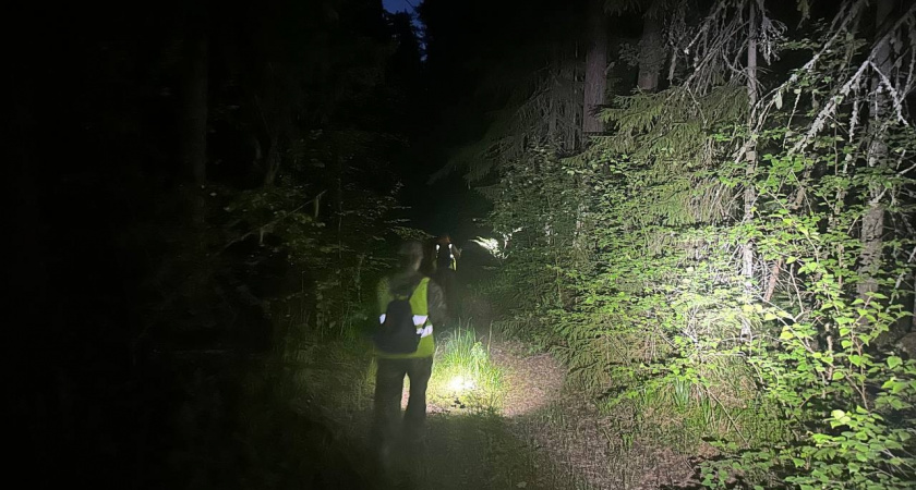 Кировские волонтеры начали поиски женщины, пропавшей в лесах Нагорского района