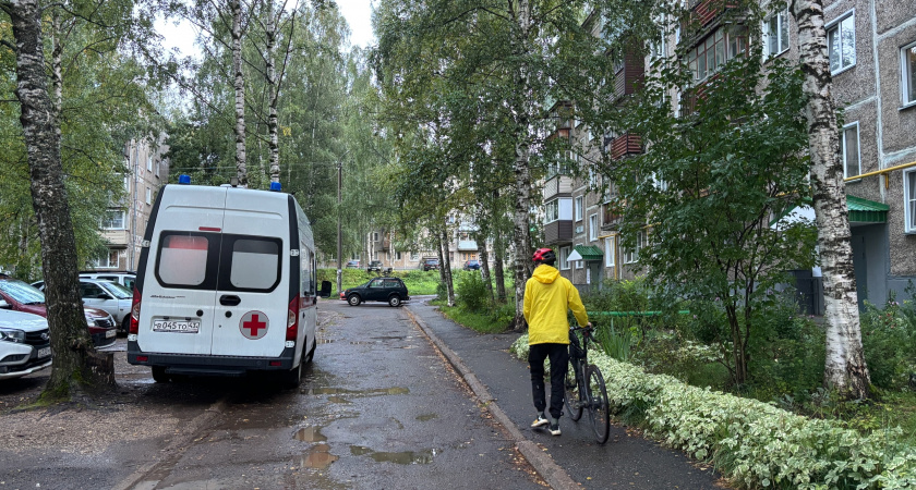 В Тужинском районе завершено расследование гибели работника от упавшего бревна