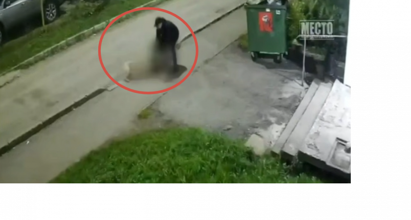 "По всему подъезду были лужи крови": кировчане стали свидетелями нападения амстаффа на подростка с питомцем