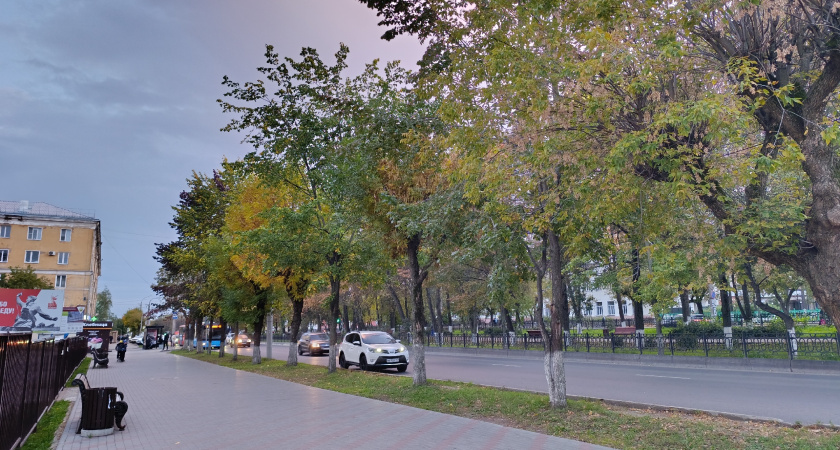 Тепло не придет, не ждите: синоптики сделали прогноз на октябрь, погода удивляет все больше